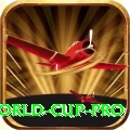 2019 world cup - VIP Turbo