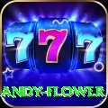 andy flower Ultimate Pro v4.1.7