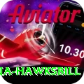 antigua hawksbill Apps (Tools & Injectors) Pro v5.0.0