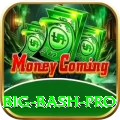 big bash - Ultimate Earning App