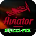 Bingo PKR Master Pro v3.7.9