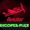 bingopkr Apps (Tools & Injectors) VIP v5.1.8