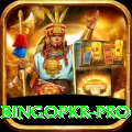 bingopkr Live Turbo