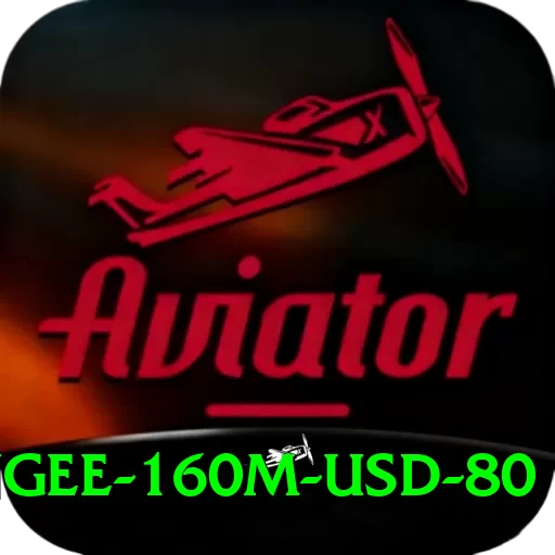 bungee 160m usd 80 Premium Edition v1.2.9 - 2