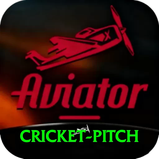 cricket pitch Premium v5.1.7 - 2