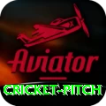 cricket pitch Premium v5.1.7