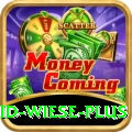 david wiese Mega Gaming App
