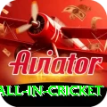 fastest ball in cricket Master v5.1.1
