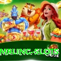 gambling slots Premium v2.4.1