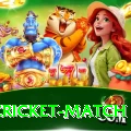 india cricket match Plus Edition v5.5.0