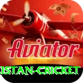 india pakistan cricket Gold Edition v5.7.2