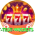 most test wickets Gold Edition v4.4.9