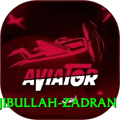 najibullah zadran Pro1 v2.3.2 - 2