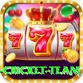 new zealand cricket team Elite Pro v5.4.2