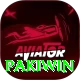 Pakiwin Plus Edition v4.0.9
