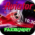 pakrummy Ultimate v2.0.8