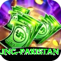 responsible gambling pakistan Apps (Tools & Injectors) VIP v3.0.6