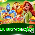 risk free bet cricket Elite v5.8.6