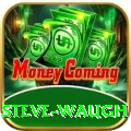 steve waugh VIP Edition v3.2.5