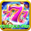 t20 match schedule Premium Gaming App