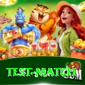 test match Apps (Tools & Injectors) Elite v1.8.3