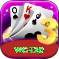 wc t20 Turbo v1.2.9